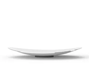 Elegant Design Serving Tray