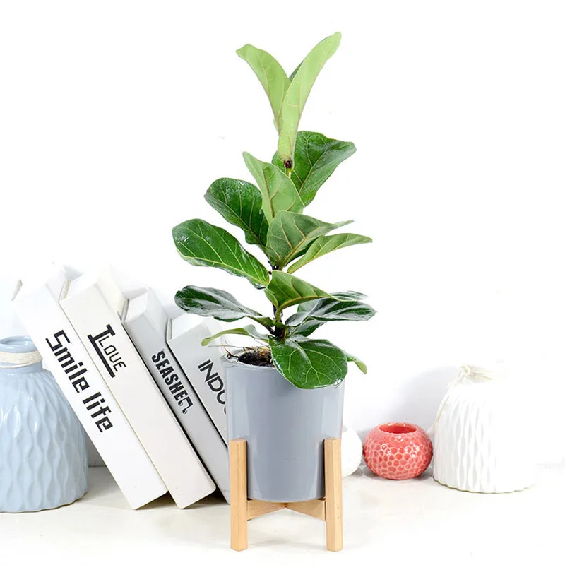 Modern Gray Plastic Plant Pot Stand with Wood Rack-M