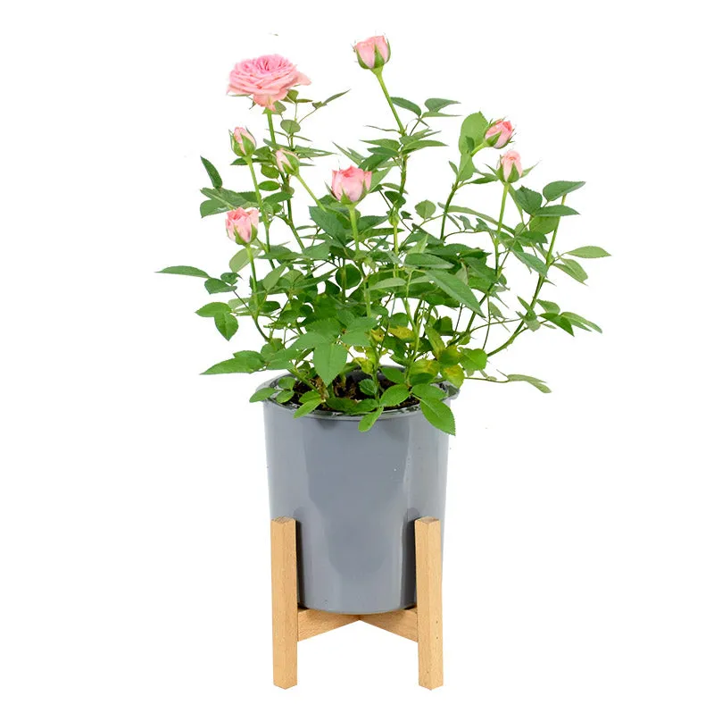 Modern Gray Plastic Plant Pot Stand with Wood Rack-M