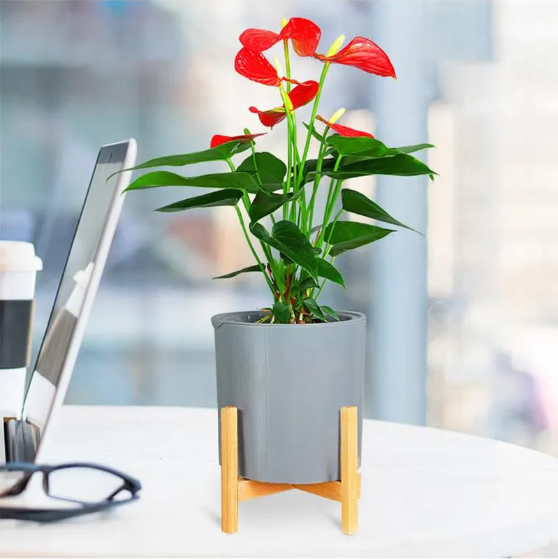 Modern Gray Plastic Plant Pot Stand with Wood Rack-M