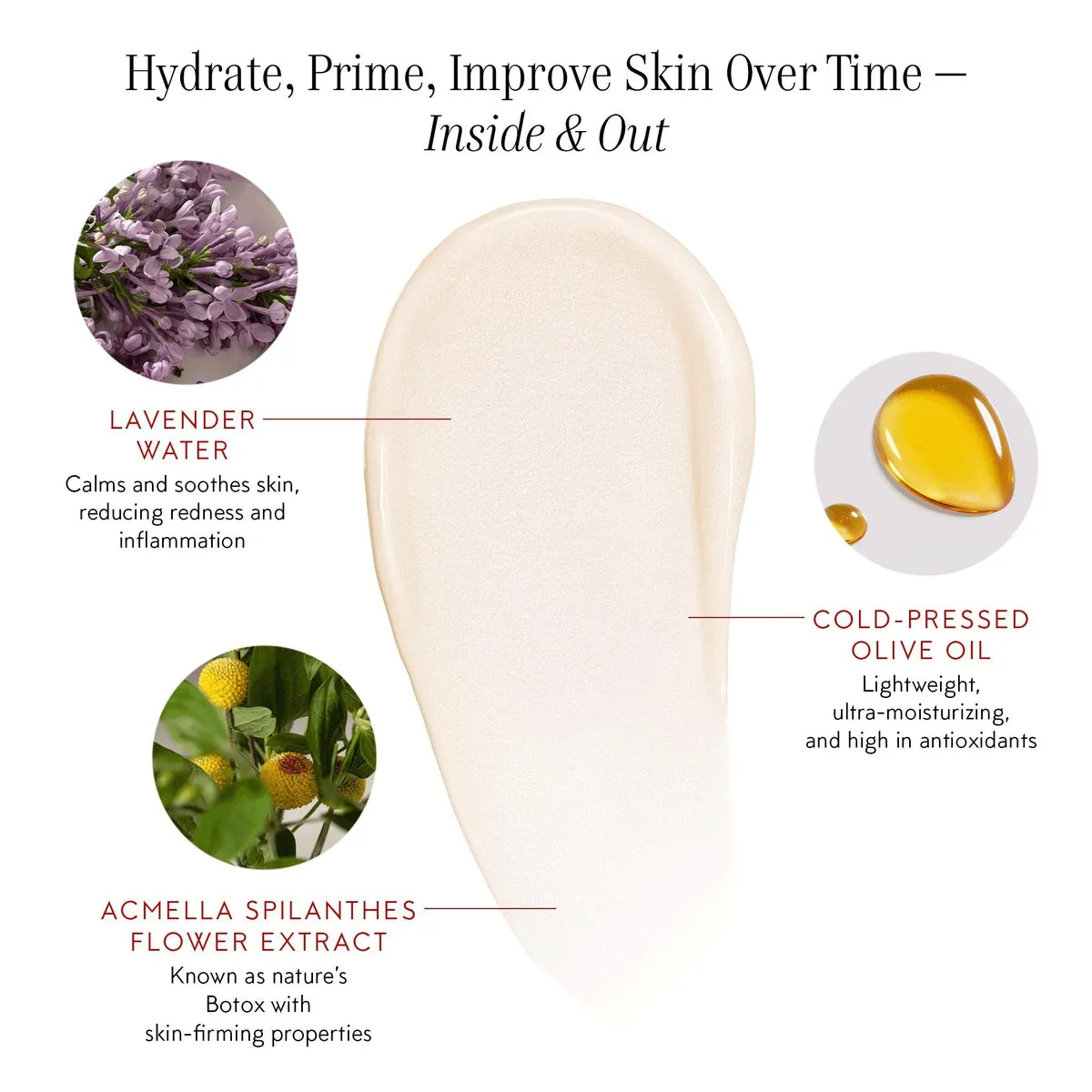 The Beautiful Primer